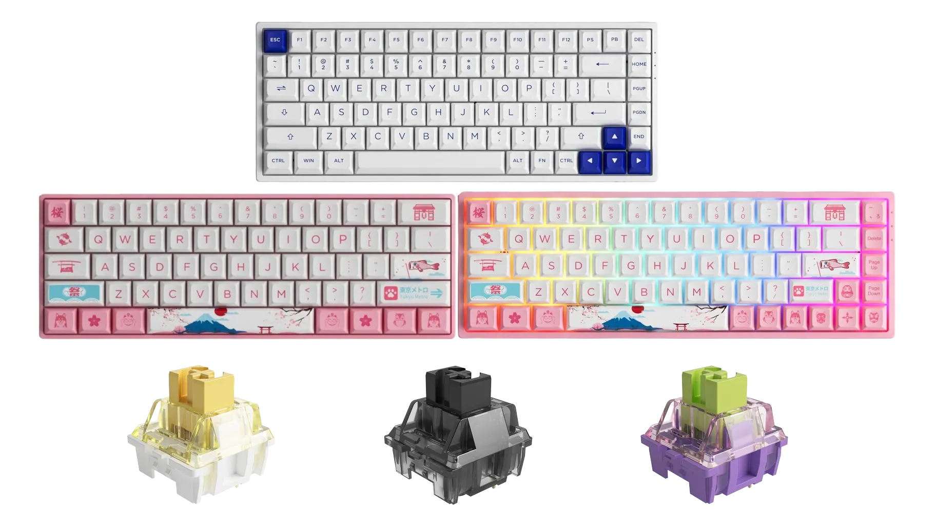 Akko Keyboards and Switches